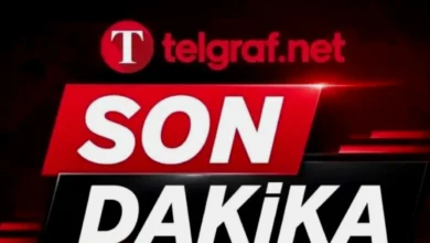 mezarlıkta cenin - Mezarlıkta Cenin Paniği: Gaziantep'i Sivirde mi?