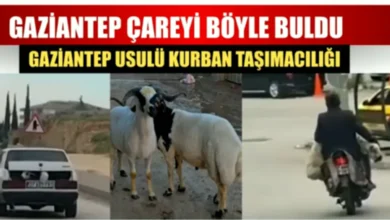 motosiklet kurbanlık - Motosiklet Kurbanlık Taşıyor: Gaziantep'te Çözüm