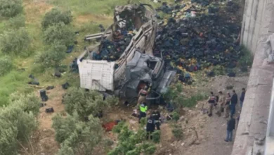 Nurdağı trafik kazası - Nurdağı Trafik Kazası: Nurdağı Viyadüğü'nde Sebze Tırı Fa...