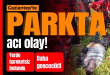 parkta gencin ölümü - Parkta Acı Son: Gencin Ölümü Paniğe Yol Açtı
