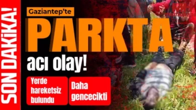 parkta gencin ölümü - Parkta Acı Son: Gencin Ölümü Paniğe Yol Açtı