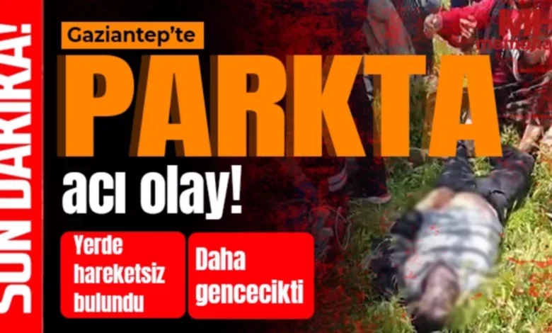 parkta gencin ölümü - Parkta Acı Son: Gencin Ölümü Paniğe Yol Açtı