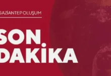 parkta kavga cinayet - Parkta kanlı kavga: Genç adam yaşamını yitirdi