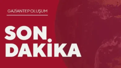 parkta kavga cinayet - Parkta kanlı kavga: Genç adam yaşamını yitirdi