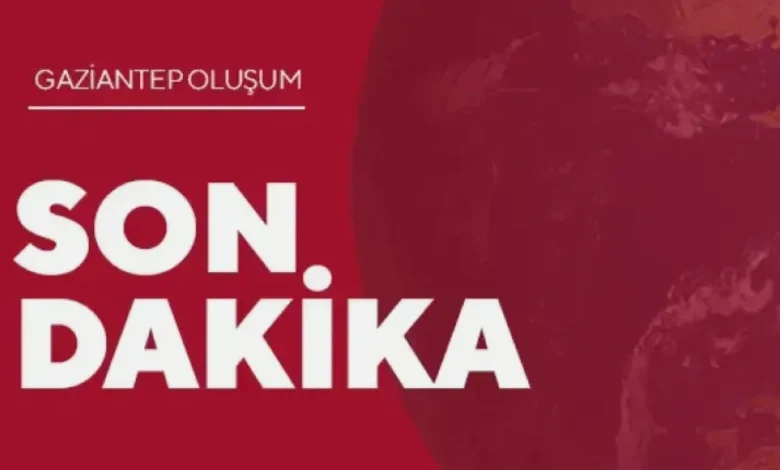 parkta kavga cinayet - Parkta kanlı kavga: Genç adam yaşamını yitirdi