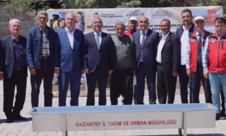 sıvat desteği - Sıvat Desteği: Meralara Su Geliyor Mu?