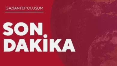 Zeugma Bayram Yoğunluğu - Zeugma'da Bayram Yoğunluğu: Turistler Akın Etti