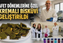 afet bisküvisi - Afet Bisküvisi: Gaziantep'ten Besleyici Yenilik
