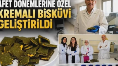 afet bisküvisi - Afet Bisküvisi: Gaziantep'ten Besleyici Yenilik