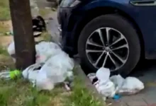 Anneler Parkı Çöp Utancı - Anneler Parkı Çöp Utancı: Umursamazlık Kazandı