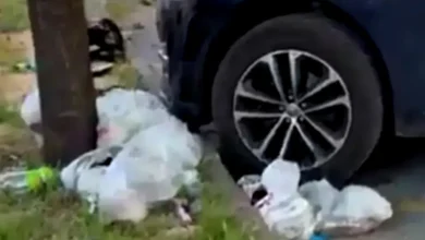 Anneler Parkı Çöp Utancı - Anneler Parkı Çöp Utancı: Umursamazlık Kazandı