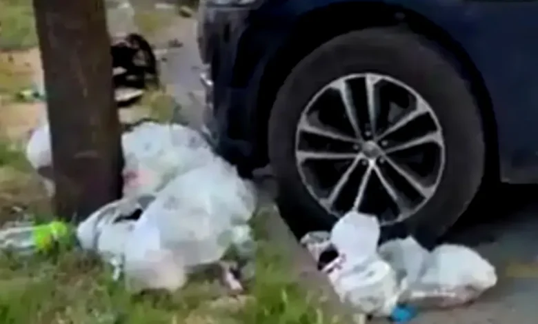 Anneler Parkı Çöp Utancı - Anneler Parkı Çöp Utancı: Umursamazlık Kazandı
