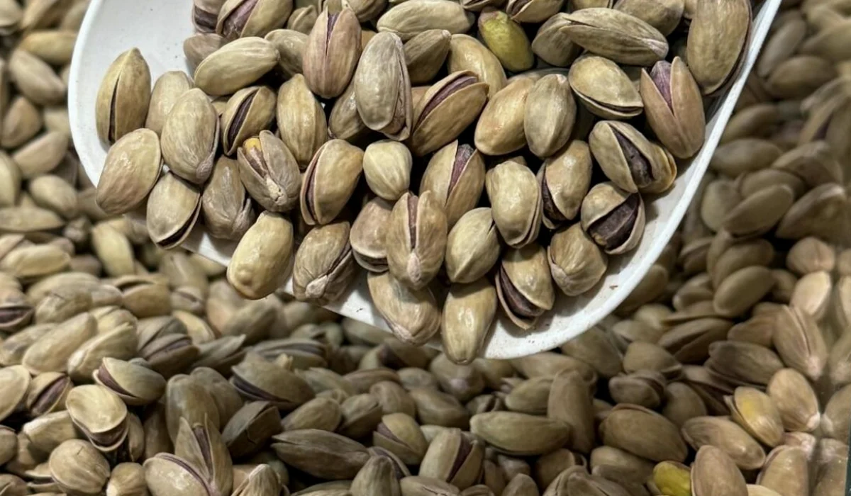 Antep Fıstığı: Binlerce Yıllık Lezzet Sırrı