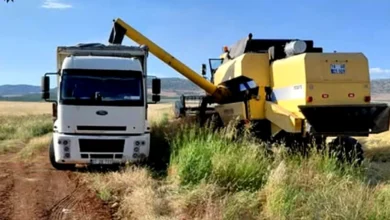 arpa hasadı - Araban Arpa Hasadı Başladı: İlk Ürün Satıldı