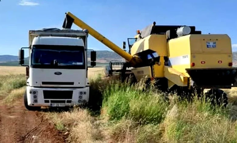 arpa hasadı - Araban Arpa Hasadı Başladı: İlk Ürün Satıldı