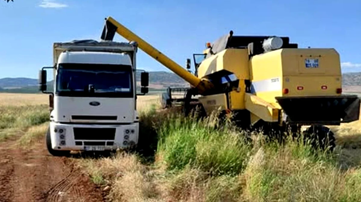 Araban Arpa Hasadı Başladı: İlk Ürün Satıldı