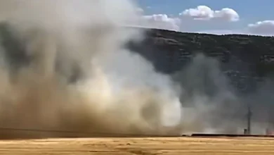 buğday yangını - Buğday Külü Oldu: Araban'da Yangın Paniği