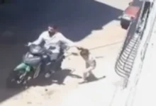 çocuk istismarı - Çocuk İstismarı Gaziantep'te Dehşet Yarattı