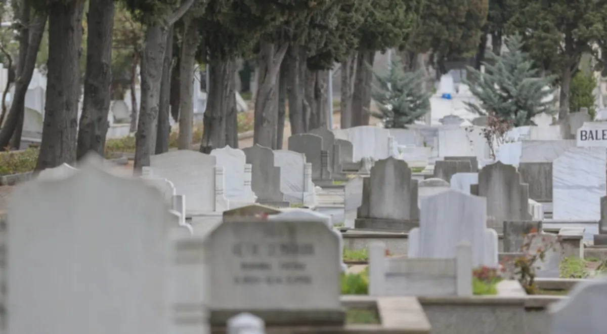 Defin Listesi: Gaziantep'te Yitip Giden Canlar