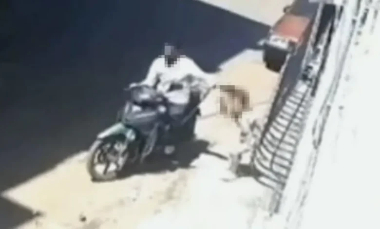 Gaziantep çocuk istismarı - Gaziantep Çocuk Istismarı: Gaziantep'te Baba Şoku - Kızın...