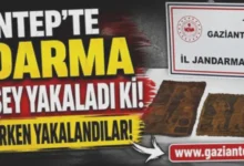 Gaziantep tarihi eser - Gaziantep Jandarma: Tarihi Eser Kaçakçılığı Önleniyor