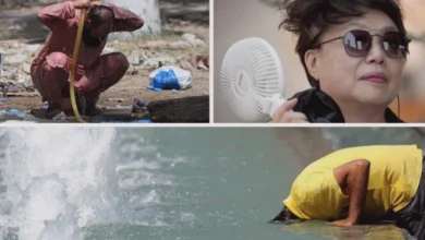 El Niño sıcaklık - Gaziantep'te El Niño Uyarısı: Sıcaklıklar Artıyor