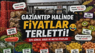 sebze meyve fiyatları - Gaziantep'te Sebze Uygun, Meyve Cep Yakıyor