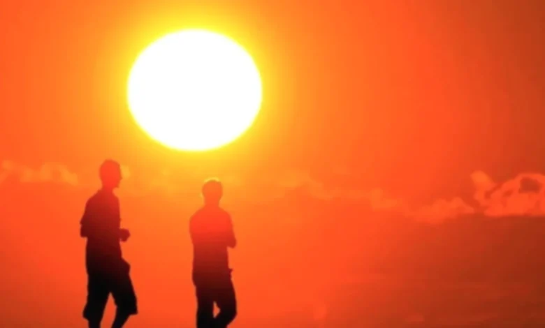 Gaziantep sıcaklık artışı - Gaziantep'te Sıcaklık Artışı: Önümüzdeki Yıllar Zorlu Geç...