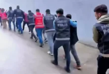 uyuşturucuya darbe - Gaziantep'te Uyuşturucuya Darbe: 708 Kilo Ele Geçti