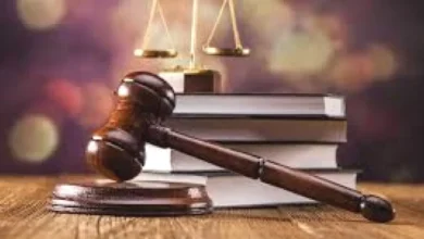 İslahiye tarla satışı - İslahiye Tarlası Satışa Çıktı: Köylüler Dikkat!