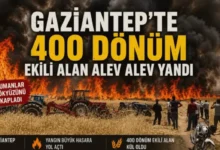 buğday tarlası yangını - Karkamış'ta Buğday Tarlası Yangını: Bilinmezlik Perdesi
