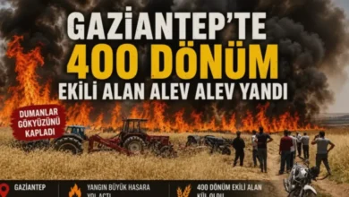 buğday tarlası yangını - Karkamış'ta Buğday Tarlası Yangını: Bilinmezlik Perdesi