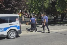 köpeğiyle gözaltına alındı - Köpeğiyle Gözaltına Alındı: Şehreküstü Parkı'nda Panik