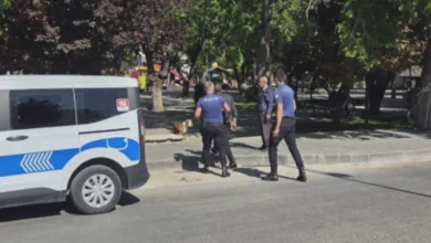 köpeğiyle gözaltına alındı - Köpeğiyle Gözaltına Alındı: Şehreküstü Parkı'nda Panik