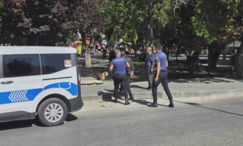 köpeğiyle gözaltına alındı - Köpeğiyle Gözaltına Alındı: Şehreküstü Parkı'nda Panik