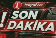 Mehmet Söğüt intiharı - Nizip'te Hazin Son: 47'lik Mehmet Söğüt'ün Dramı