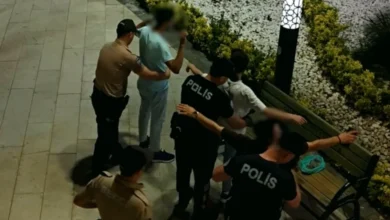 Parklarda Huzur - Parklarda Huzurlu Nefes, Trafikte Cezalar