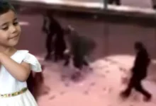 Pitbull Silah Sayıldı - Pitbull Silah Sayıldı: Asiye Davası!
