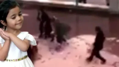 Pitbull Silah Sayıldı - Pitbull Silah Sayıldı: Asiye Davası!