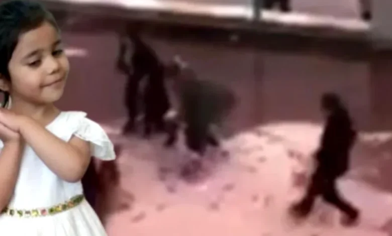 Pitbull Silah Sayıldı - Pitbull Silah Sayıldı: Asiye Davası!