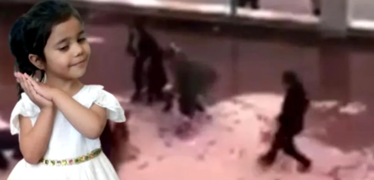 Pitbull Silah Sayıldı: Asiye Davası!