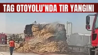 tır yangını - TAG Otoyolu'nda Tır Yangını Paniği