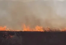 Anız Yangını Gözaltı - Anız Yangınıyla Mücadelede İlk Adım