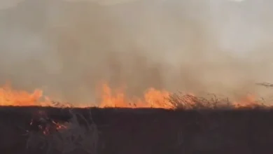 Anız Yangını Gözaltı - Anız Yangınıyla Mücadelede İlk Adım