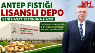 Antep fıstığı depo - Antep Fıstığı: Depo Güvencesi Üreticiye Yansıyor Mu?
