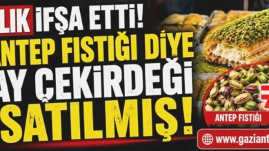 Antep fıstığı - Antep Fıstığına Ay Çekirdeği Vurgunu
