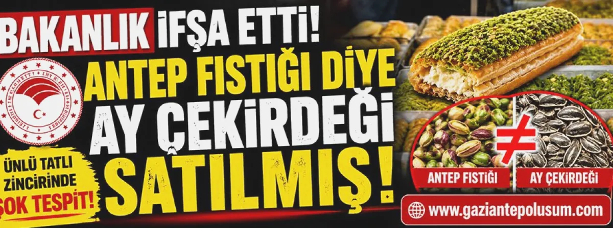 Antep Fıstığına Ay Çekirdeği Vurgunu