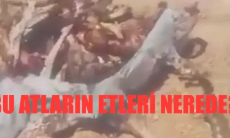 at etleri - At Etleri Sırrı: Gaziantep'te Şok Görüntüler