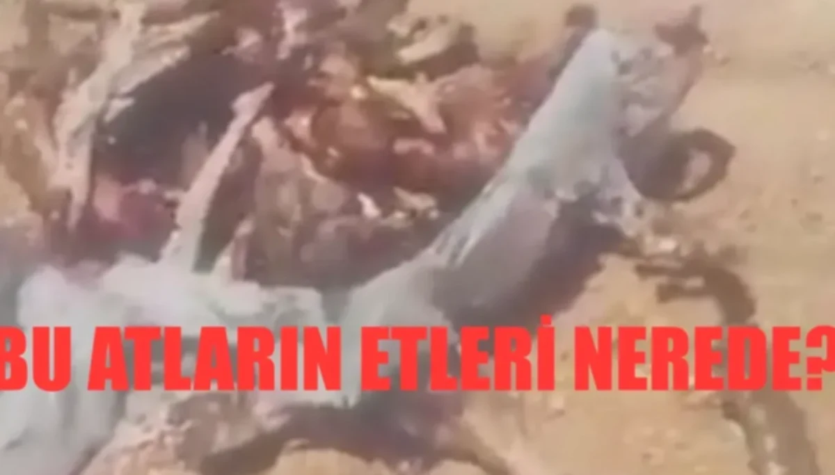 At Etleri Sırrı: Gaziantep'te Şok Görüntüler