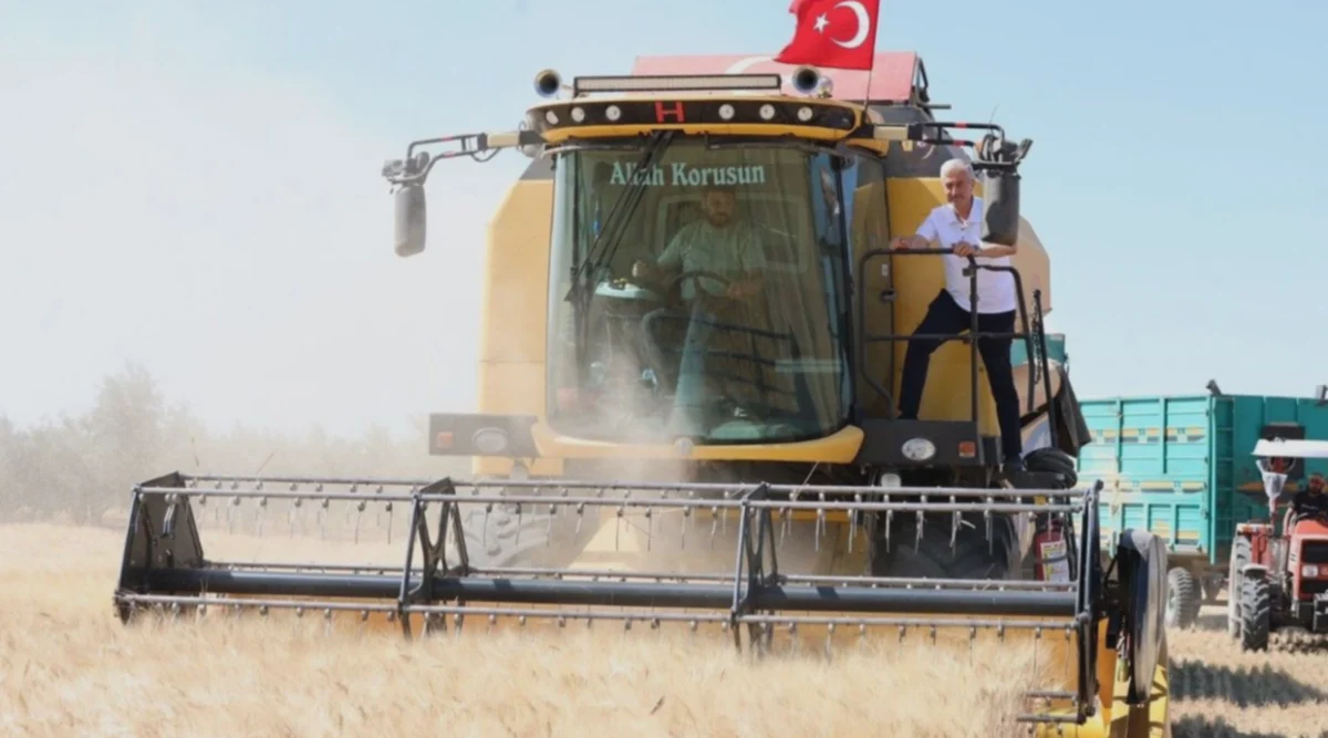 Çiftçiye Tohum Desteği: Hasat Bereketlendi